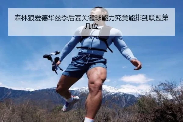 森林狼爱德华兹季后赛关键球能力究竟能排到联盟第几位