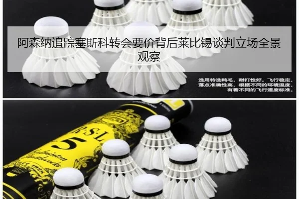 阿森纳追踪塞斯科转会要价背后莱比锡谈判立场全景观察